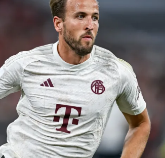 要的不仅仅 要的不仅仅