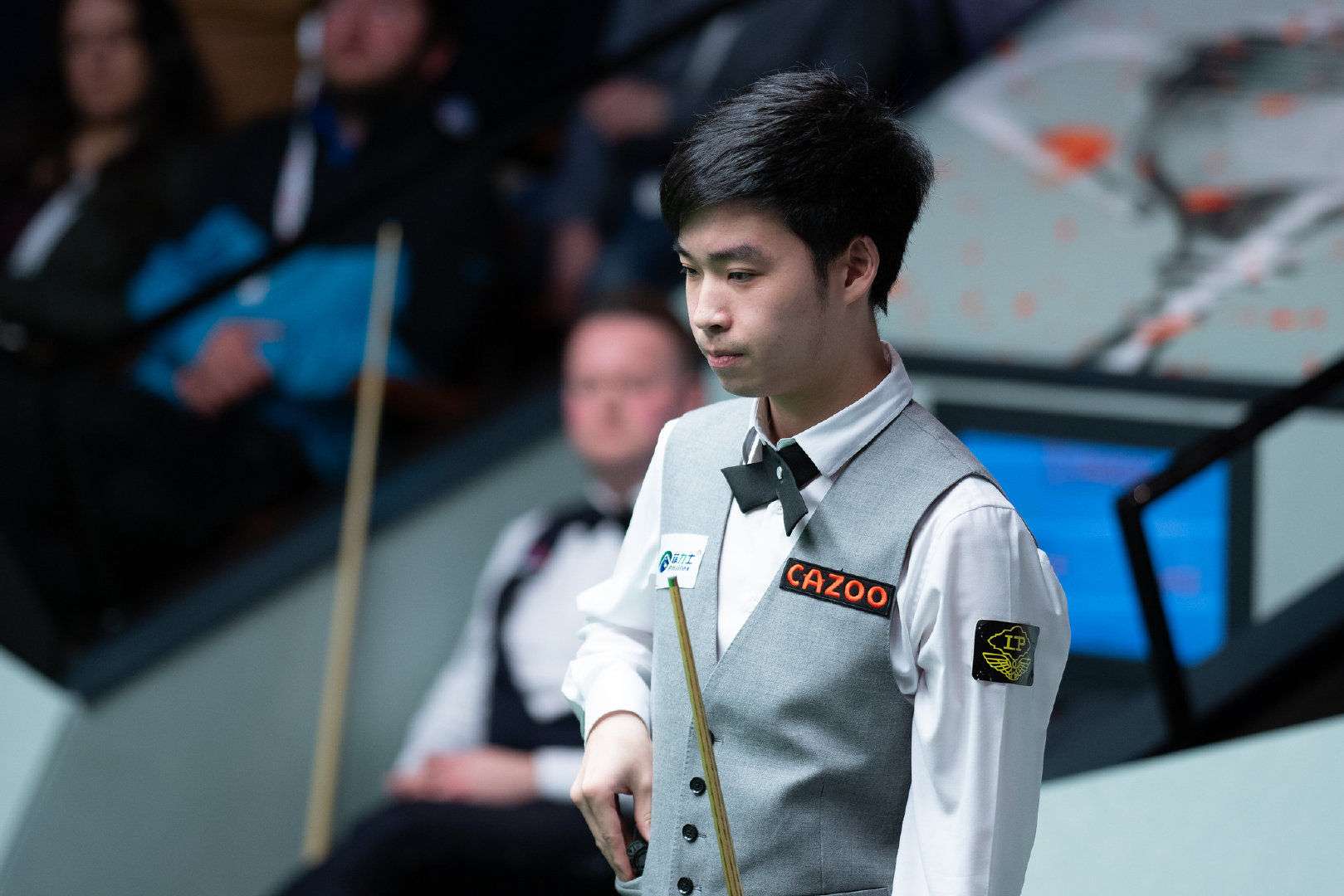 森林狼的团 森林狼的团