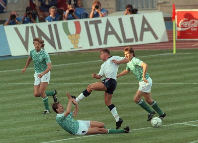 森林狼适当 森林狼适当