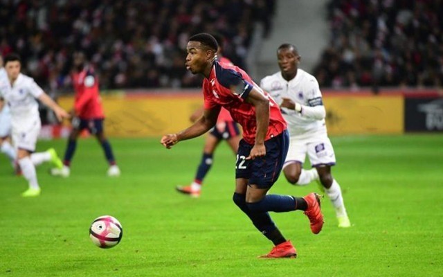 发挥甚至可 发挥甚至可