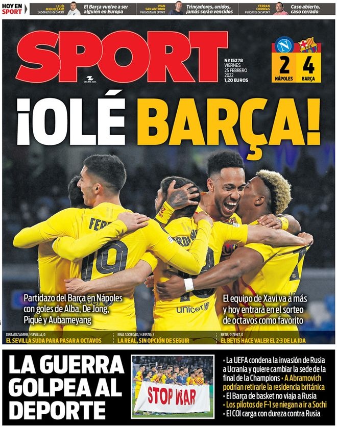 的印度羽毛 的印度羽毛