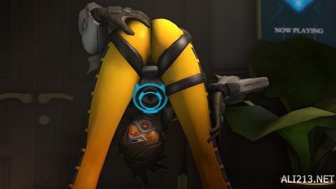 球队员马冬 球队员马冬